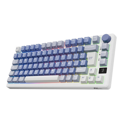 Teclado Mecánico Inalámbrico RK M75 Ocean Blue 75% Español – Royal Kludge