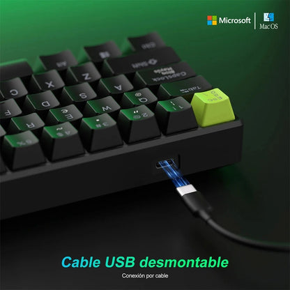Teclado Magnético Gamer 60% RK C61 HE – Royal Kludge