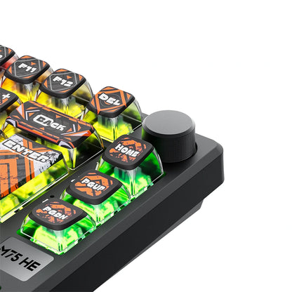 Teclado Magnético Gamer 75% RK RKM75 HE – Royal Kludge