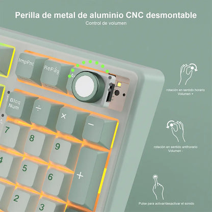 Teclado Mecánico Royal Kludge RK R98 Pro Skycyan RGB Español USB-C