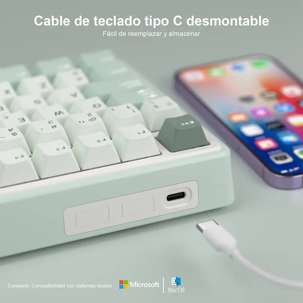 Teclado Mecánico Royal Kludge RK R98 Pro Skycyan RGB Español USB-C